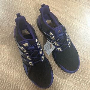 University of Washington Adidas Ultraboost Shoes